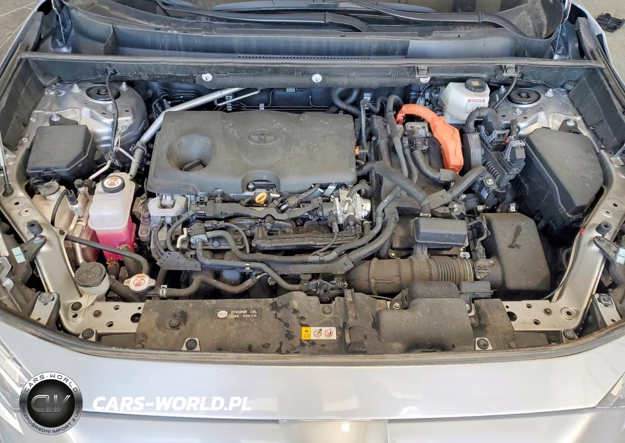 2024 Toyota Rav4 Hybrid Xle VIN:4T3RWRFVXRU134956 - 12