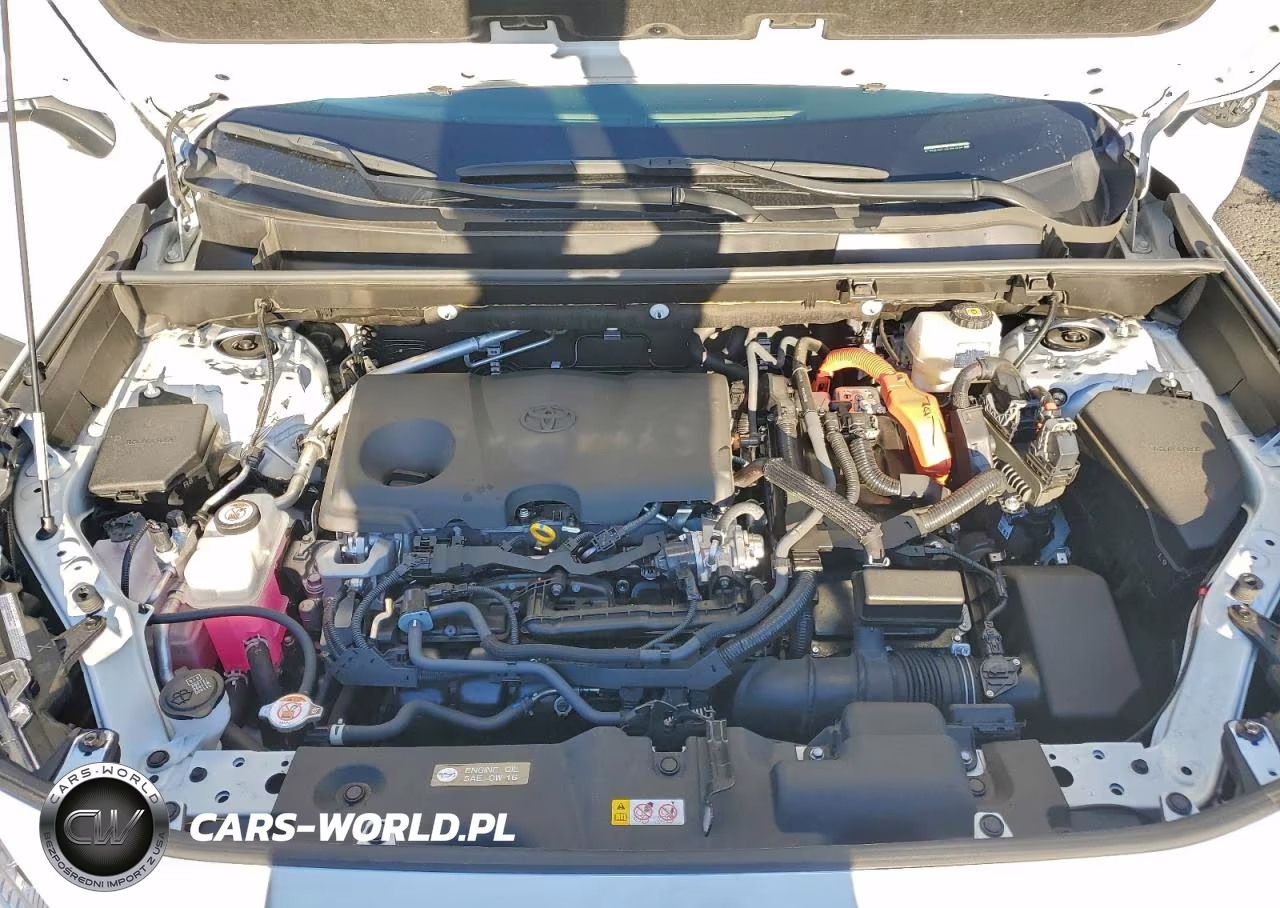 2024 Toyota Rav4 Xle Premium VIN:JTMB6RFV6RJ056840 - 12