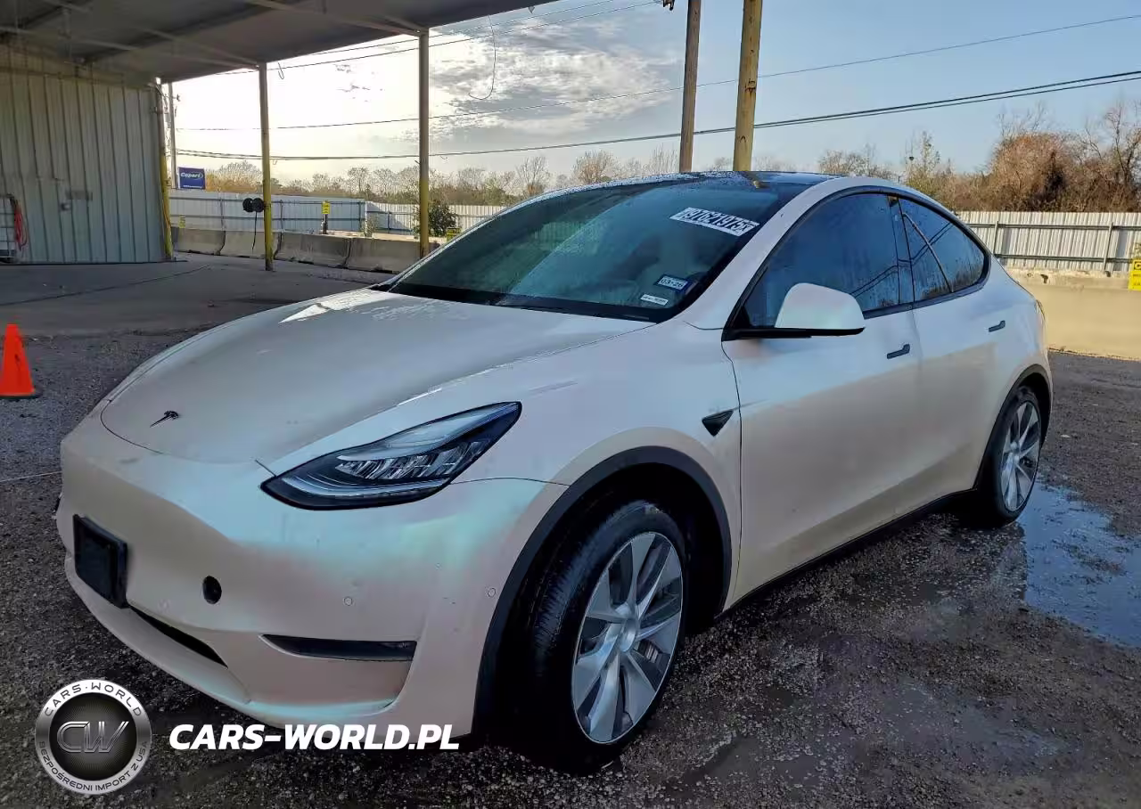 2020 Tesla Model Y