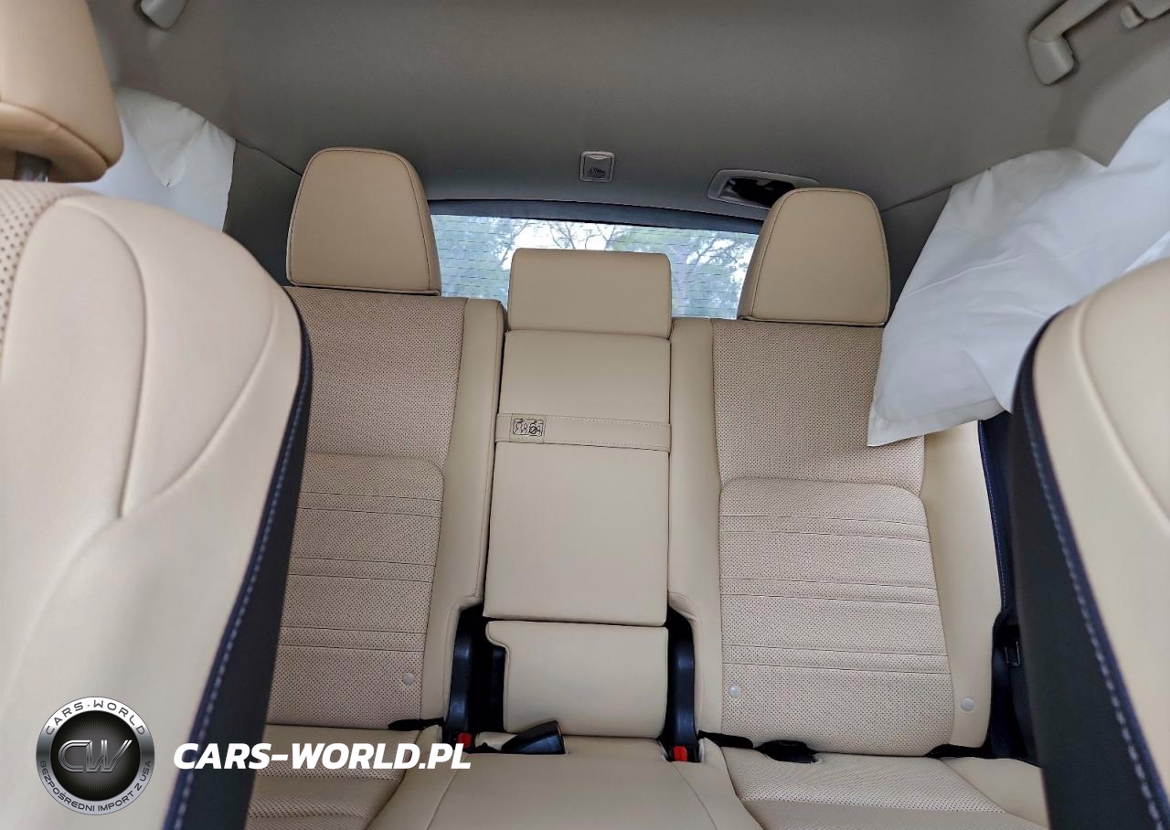 2018 Lexus Nx 300 Base VIN:JTJYARBZ7J2106299 - 10