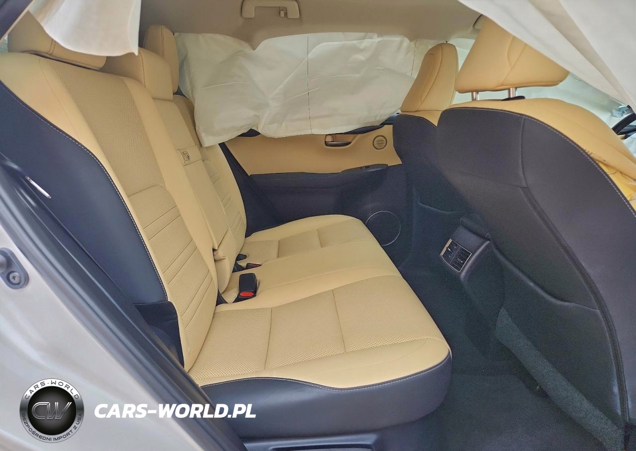 2018 Lexus Nx 300 Base VIN:JTJYARBZ7J2106299 - 11