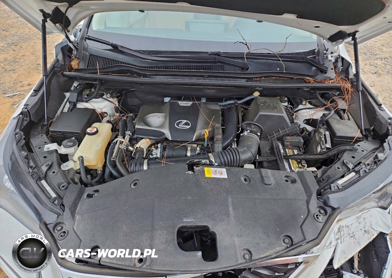 2018 Lexus Nx 300 Base VIN:JTJYARBZ7J2106299 - 12