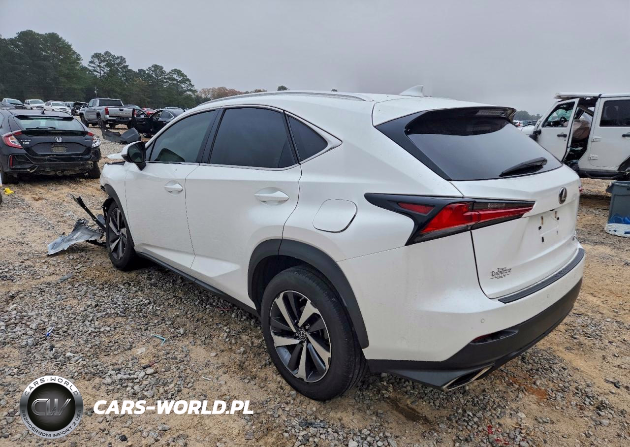 2018 Lexus Nx 300 Base VIN:JTJYARBZ7J2106299 - 2