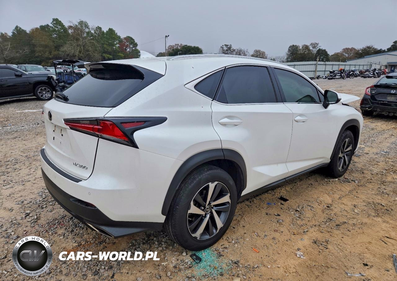 2018 Lexus Nx 300 Base VIN:JTJYARBZ7J2106299 - 3