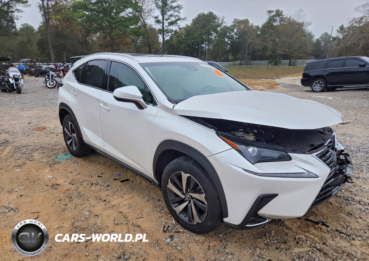 2018 Lexus Nx 300 Base VIN:JTJYARBZ7J2106299 - 4