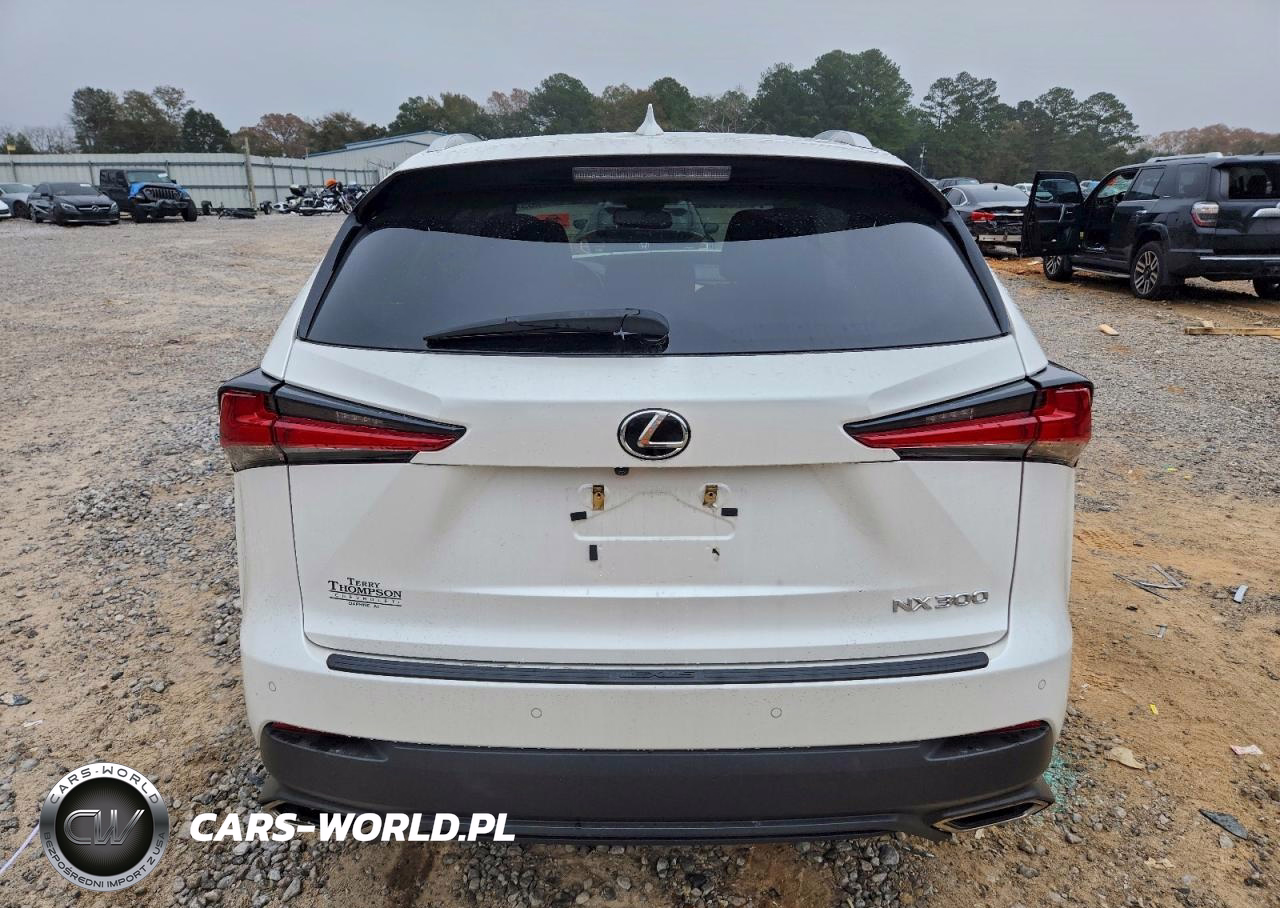 2018 Lexus Nx 300 Base VIN:JTJYARBZ7J2106299 - 6