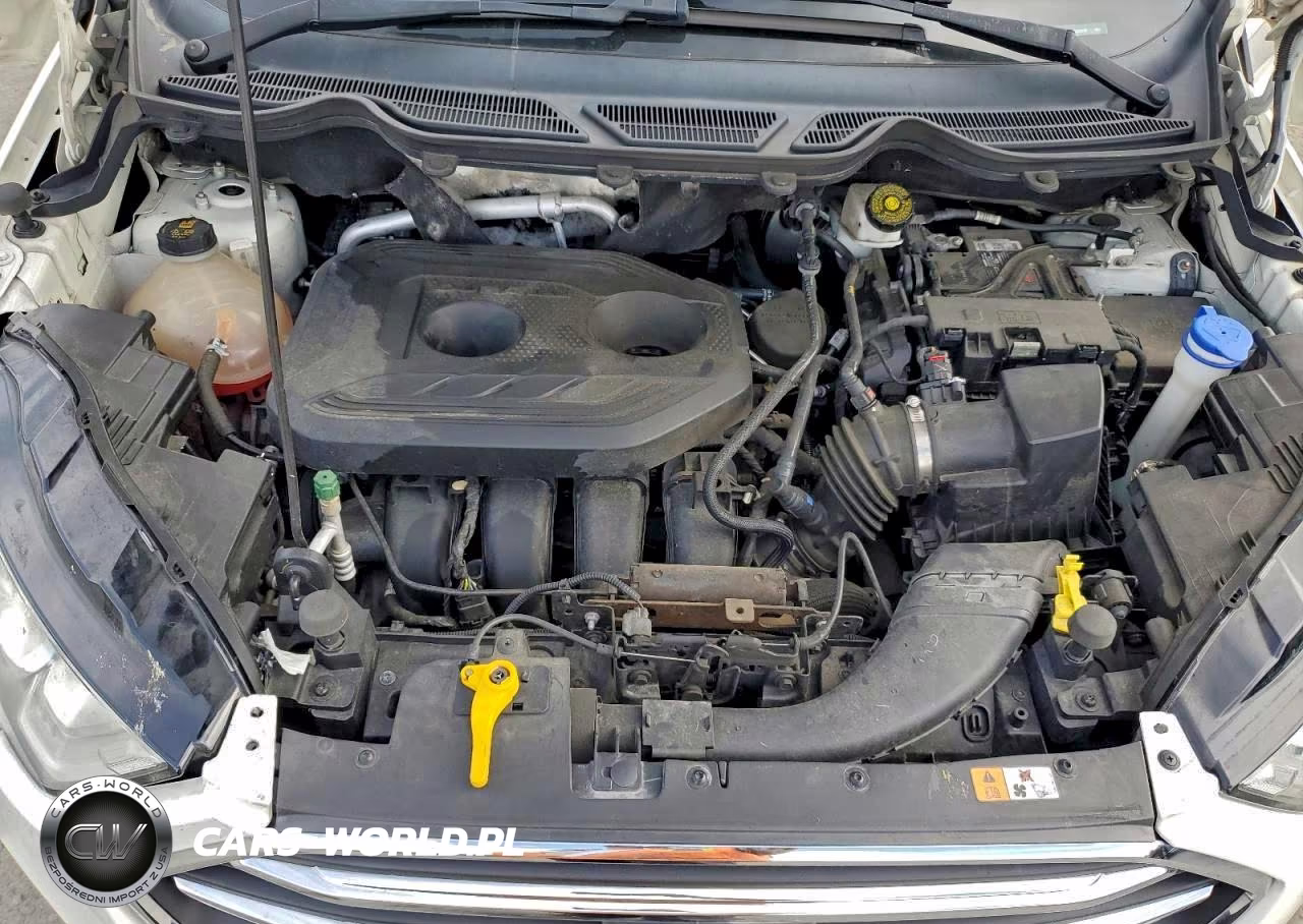 2020 Ford Ecosport Titanium VIN:MAJ6S3KL6LC329632 - 12