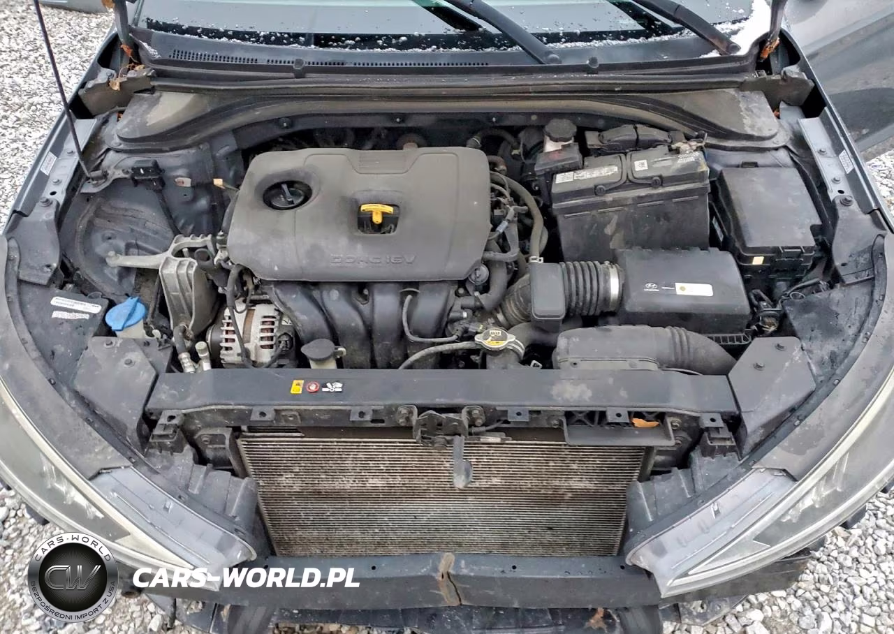 2019 Hyundai Elantra Sel VIN:KMHD84LF3KU738125 - 11