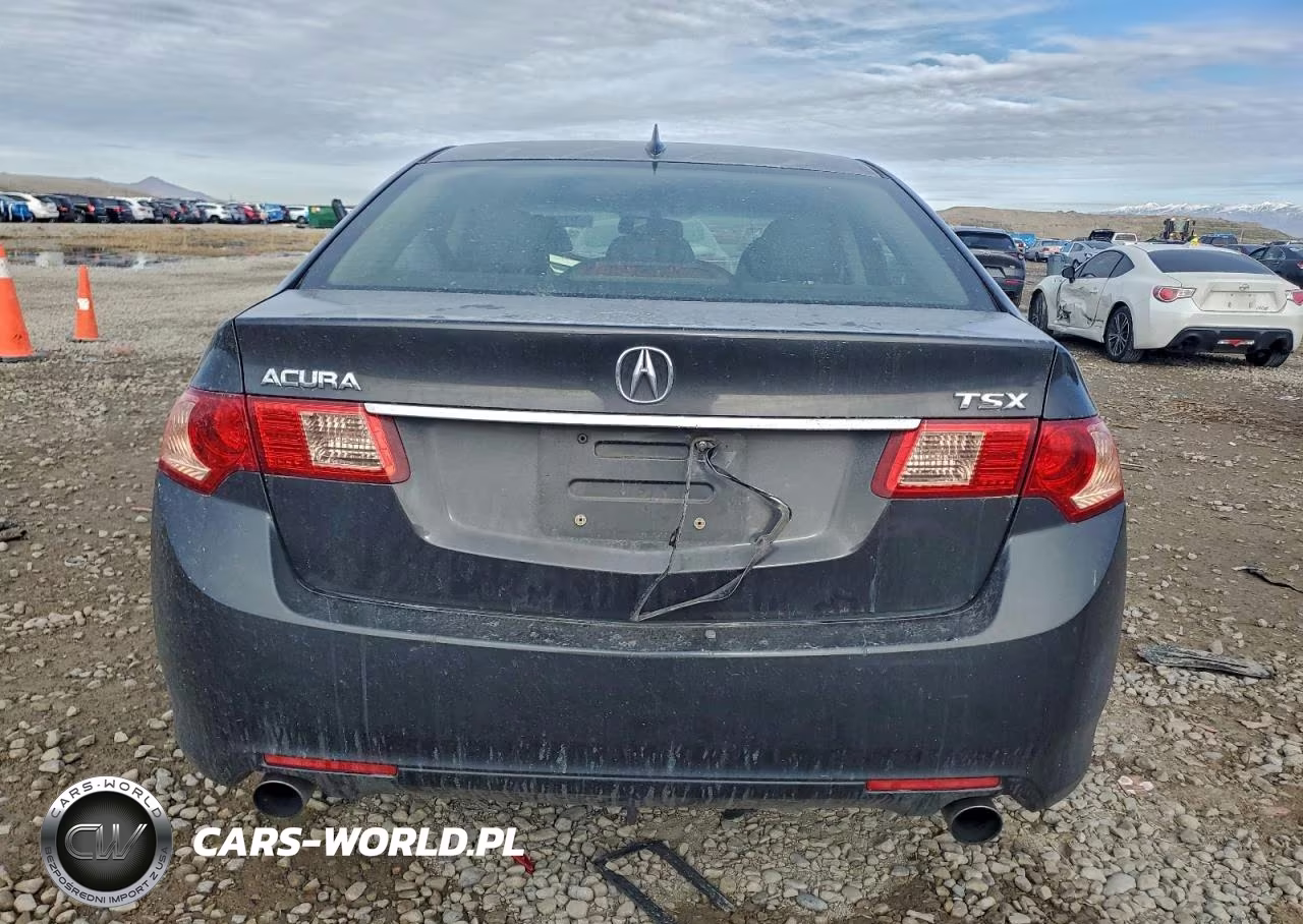 2013 Acura Tsx VIN:JH4CU2F43DC004019 - 6