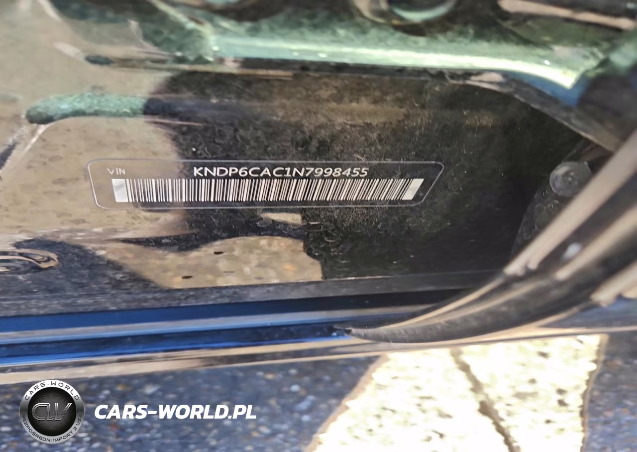 2022 Kia Sportage S VIN:KNDP6CAC1N7998455 - 13