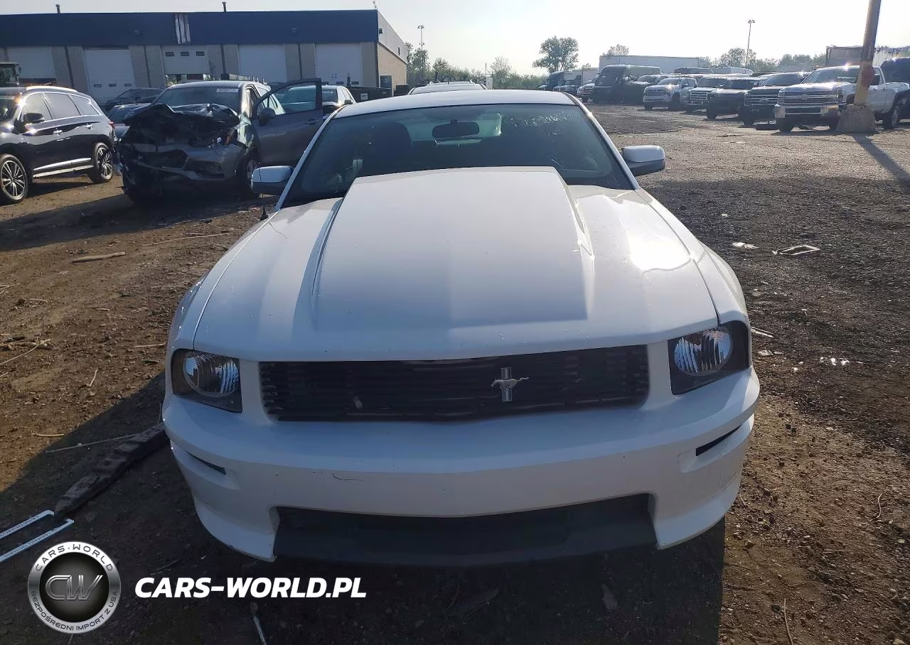 2007 Ford Mustang Gt VIN:1ZVHT82H575302213 - 5