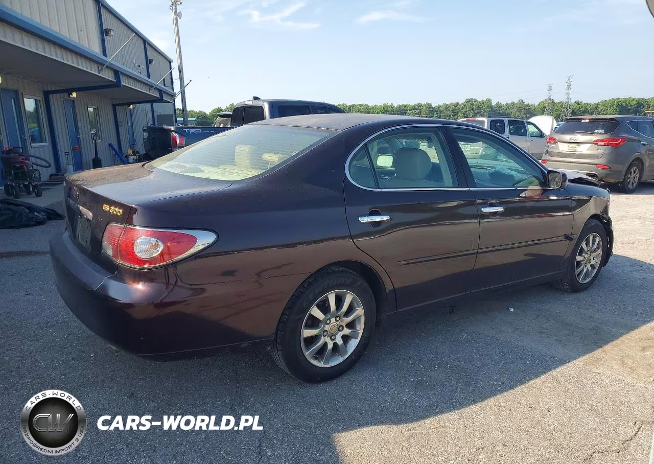 2003 Lexus Es 300 VIN:JTHBF30G036015166 - 3