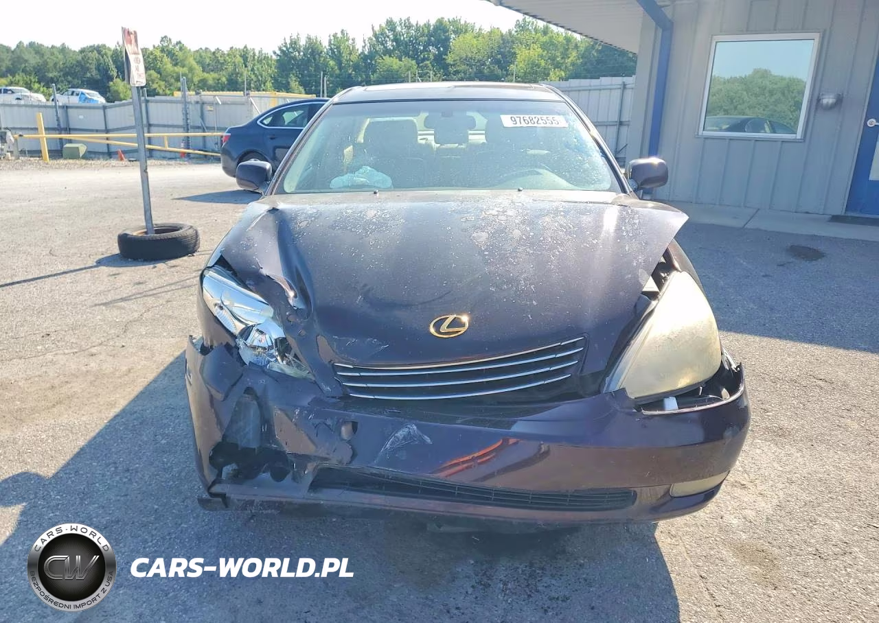 2003 Lexus Es 300 VIN:JTHBF30G036015166 - 5