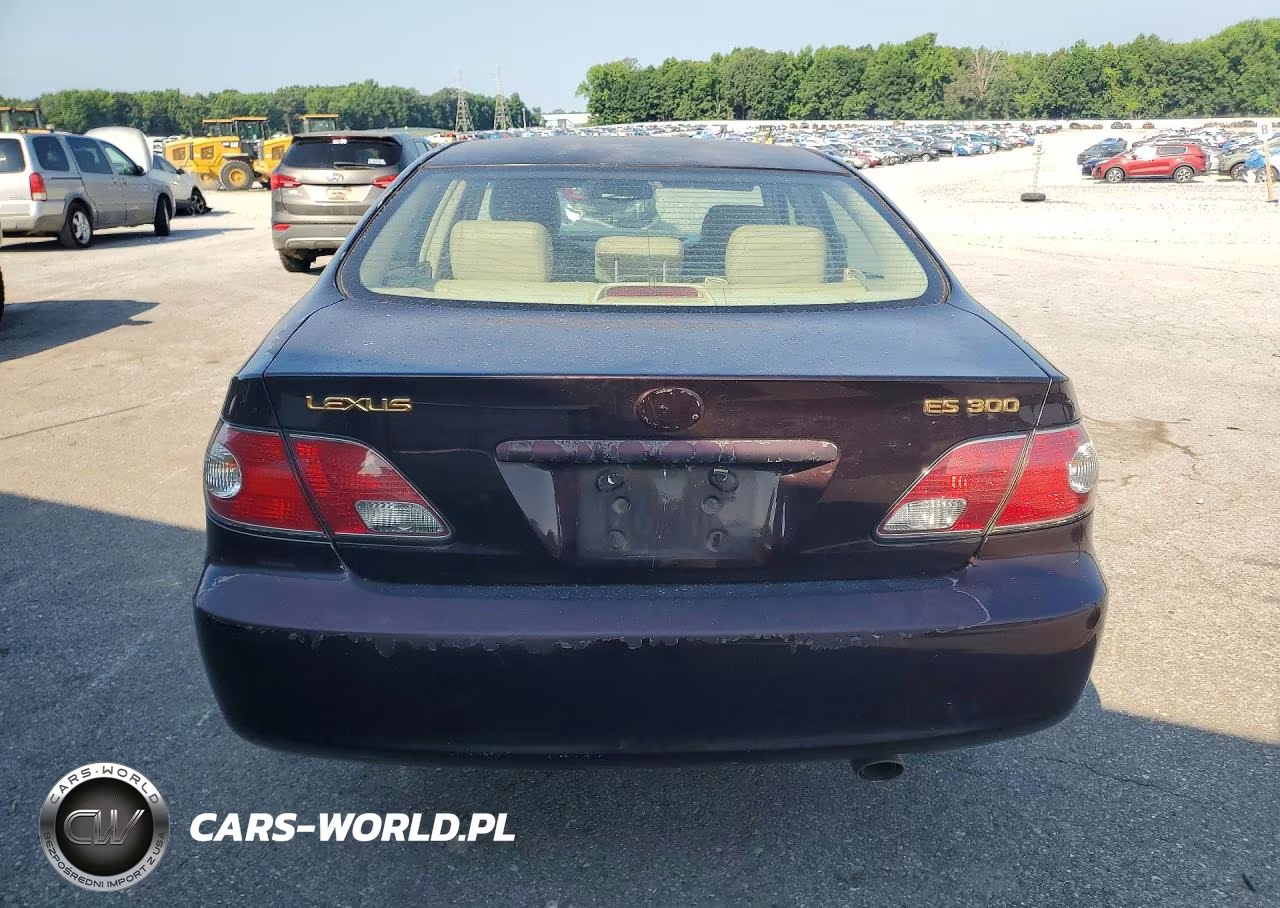2003 Lexus Es 300 VIN:JTHBF30G036015166 - 6