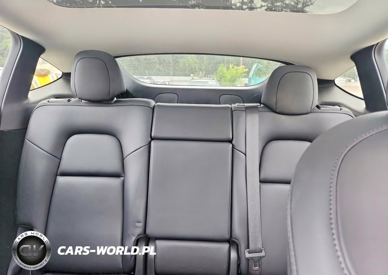 2023 Tesla Model Y VIN:7SAYGDEE3PF595290 - 10