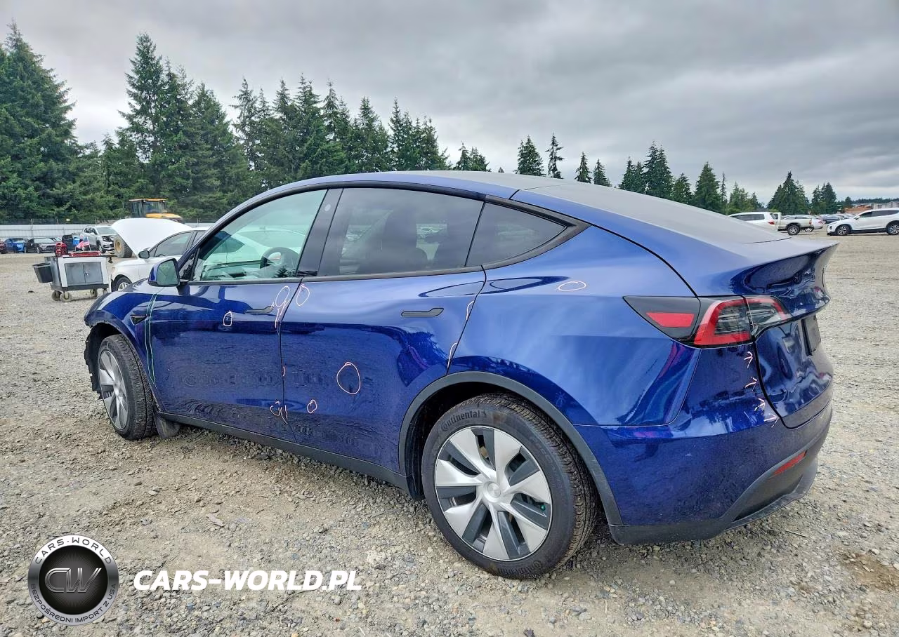 2023 Tesla Model Y VIN:7SAYGDEE3PF595290 - 2