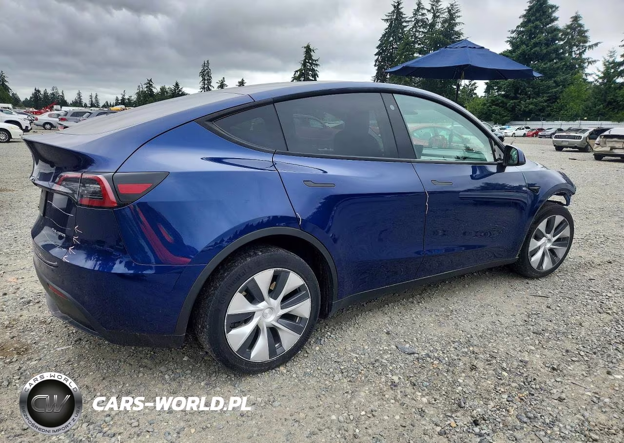 2023 Tesla Model Y VIN:7SAYGDEE3PF595290 - 3