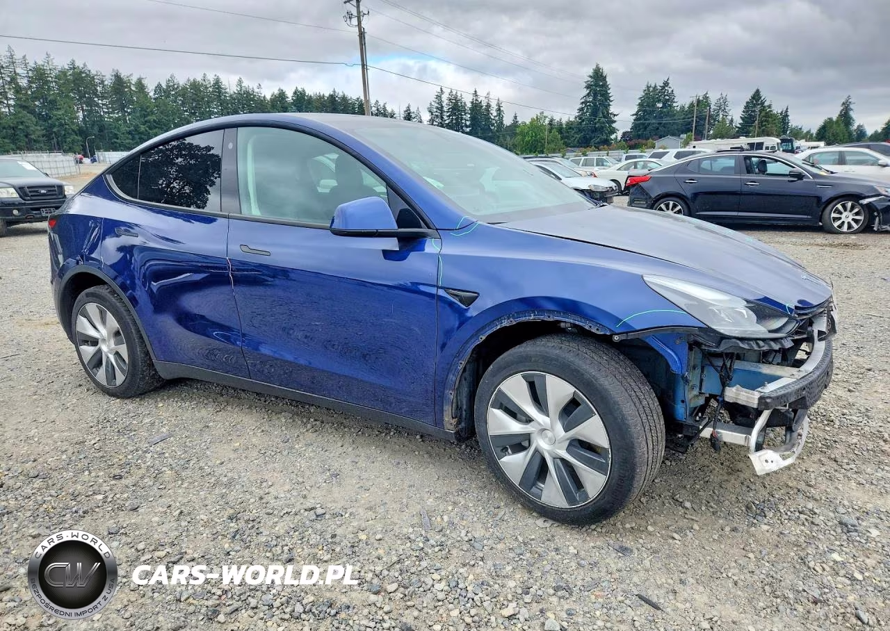 2023 Tesla Model Y VIN:7SAYGDEE3PF595290 - 4