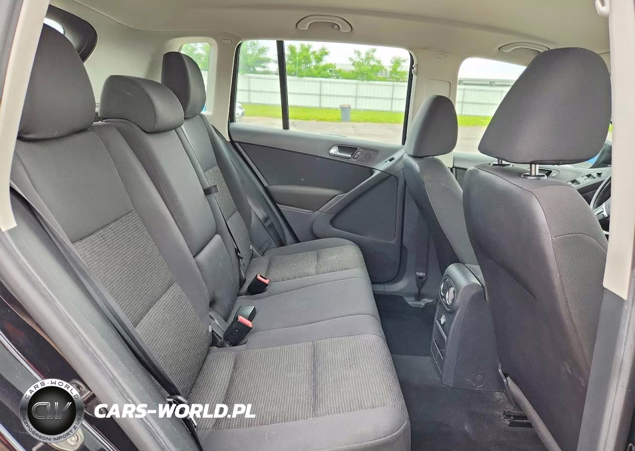2015 Volkswagen Tiguan S VIN:WVGAV7AX9FW513999 - 10
