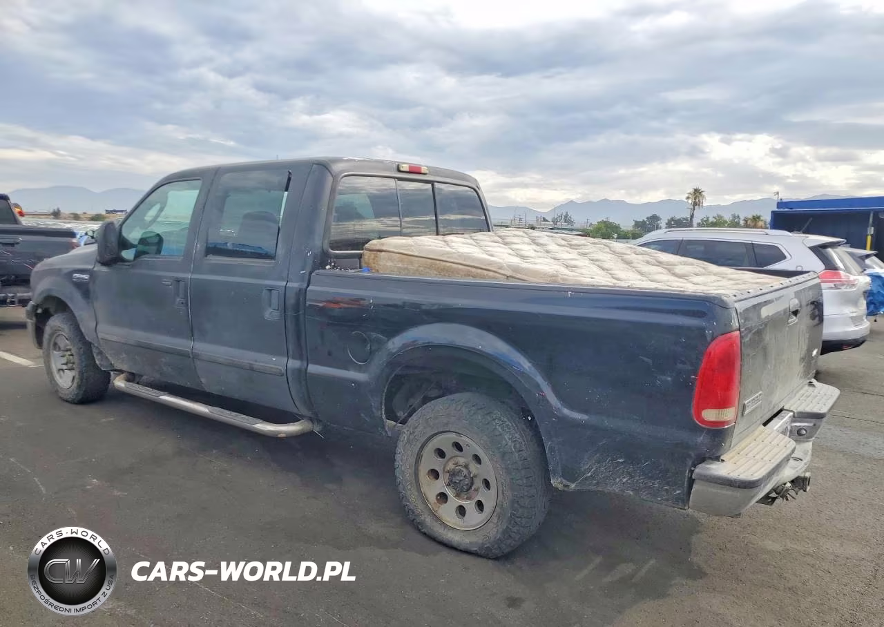 2005 Ford F250 Super Duty VIN:1FTSW20P65ED22099 - 2