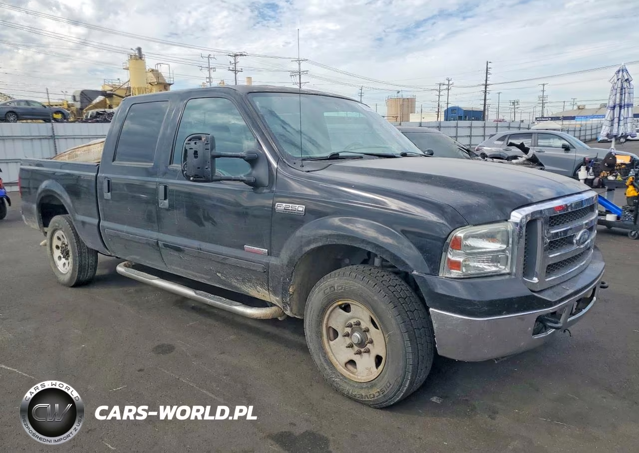 2005 Ford F250 Super Duty VIN:1FTSW20P65ED22099 - 4