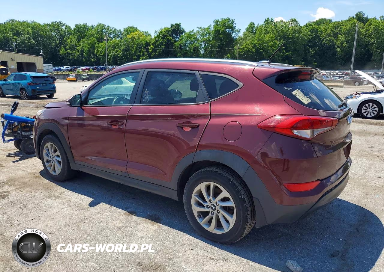 2016 Hyundai Tucson Eco VIN:KM8J3CA24GU124347 - 2
