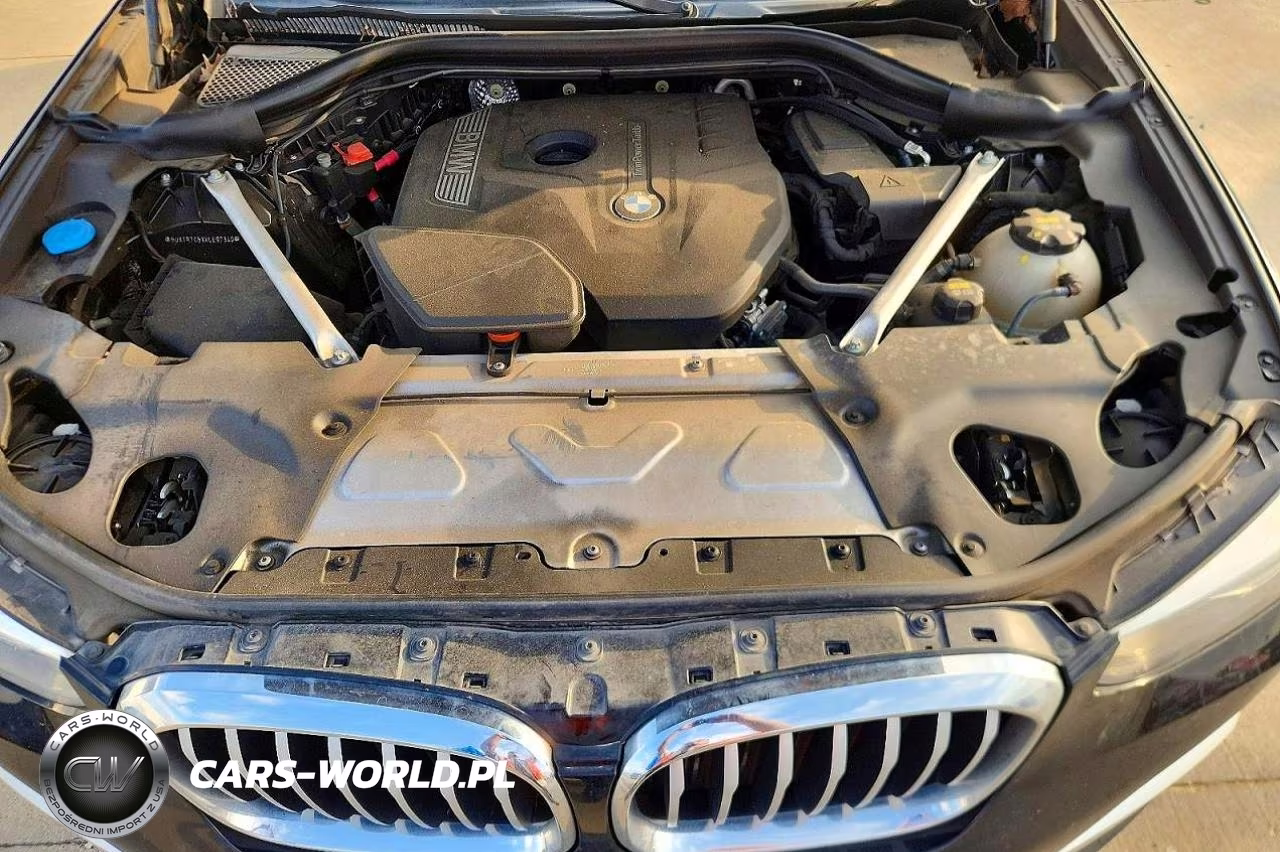 2019 BMW X3 Sdrive30I VIN:5UXTR7C5XKLE97340 - 11