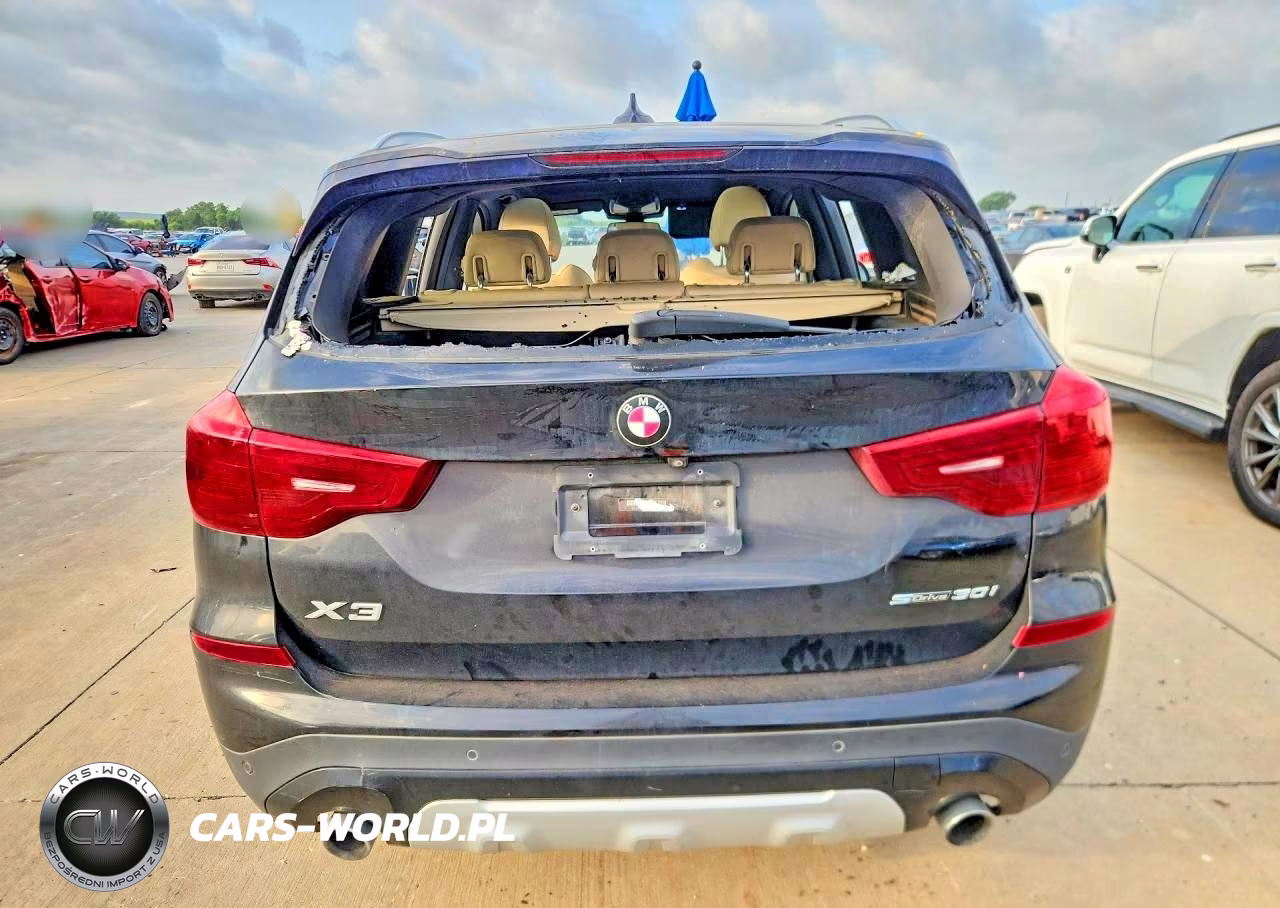 2019 BMW X3 Sdrive30I VIN:5UXTR7C5XKLE97340 - 6
