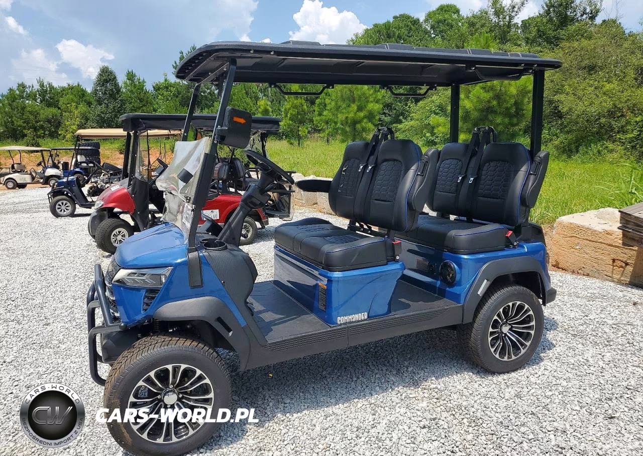 2026 Voyager Commander Golf Cart VIN:1V9VCAES9TG289114 - 2