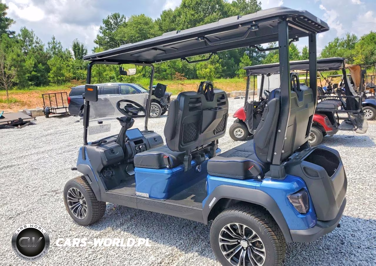 2026 Voyager Commander Golf Cart VIN:1V9VCAES9TG289114 - 3