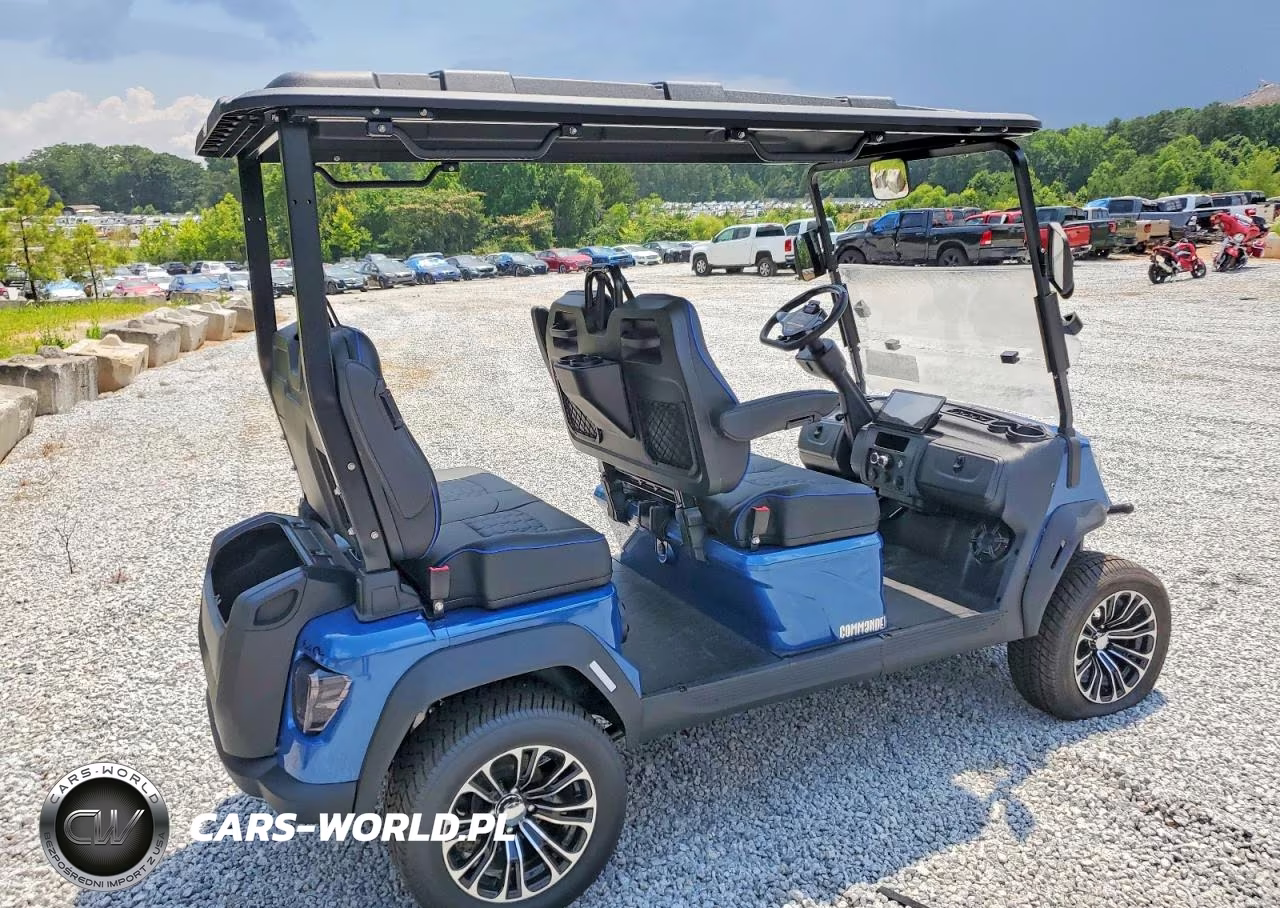 2026 Voyager Commander Golf Cart VIN:1V9VCAES9TG289114 - 4