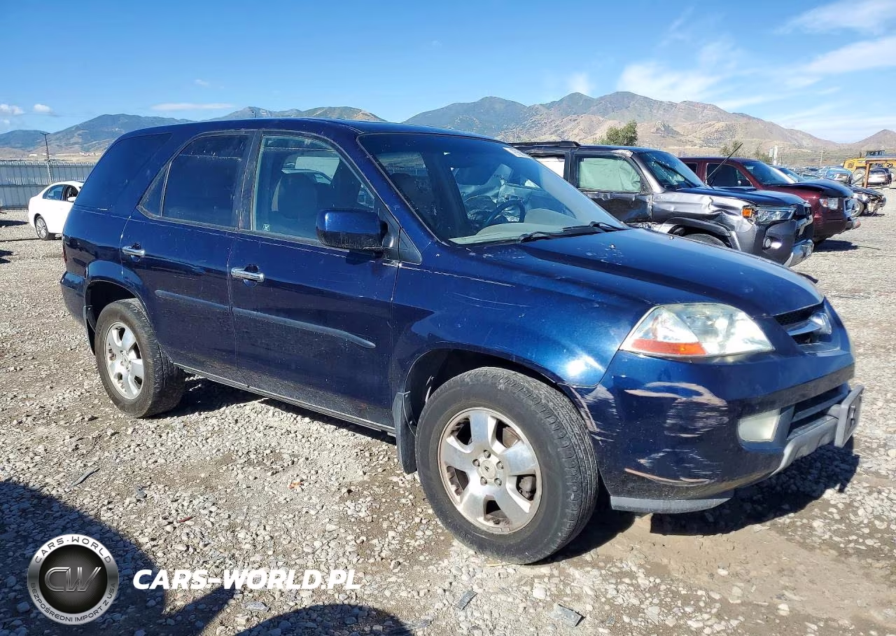 2003 Acura Mdx VIN:2HNYD18223H514039 - 4