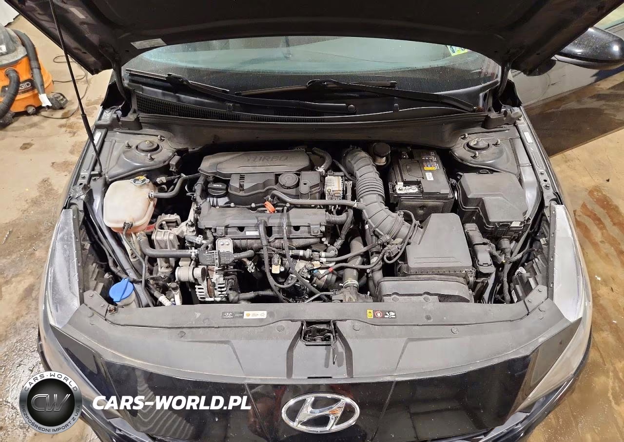 2021 Hyundai Elantra N Line VIN:KMHLR4AF4MU153200 - 11