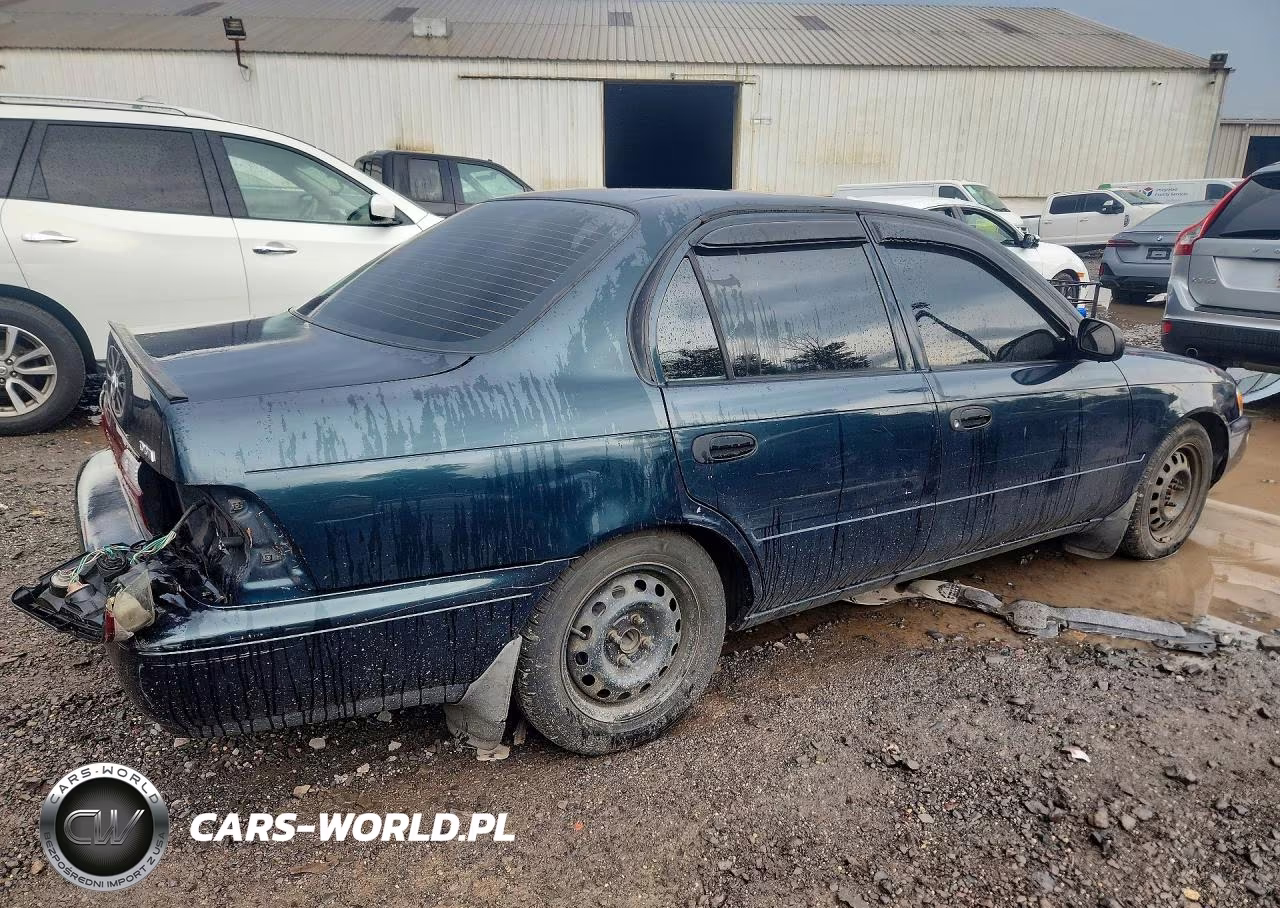 1997 Toyota Corolla Base-Ce VIN:2T1BA02E4VC225128 - 3