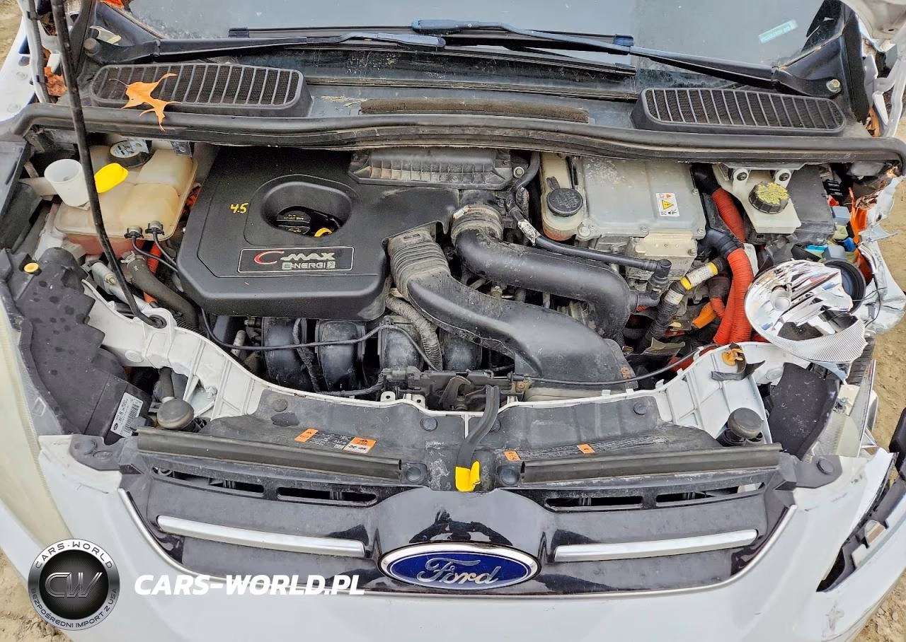 2013 Ford C-Max VIN:1FADP5CUXDL539759 - 7