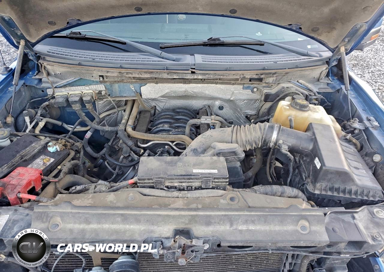 2013 Ford F150 Supercrew VIN:1FTFW1EF6DKF94583 - 11