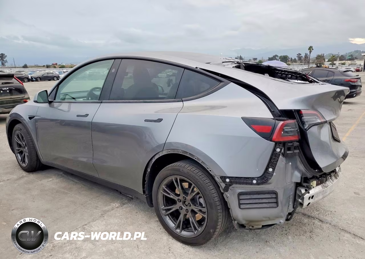 2025 Tesla Model Y VIN:7SAYGDEE1SF287088 - 2
