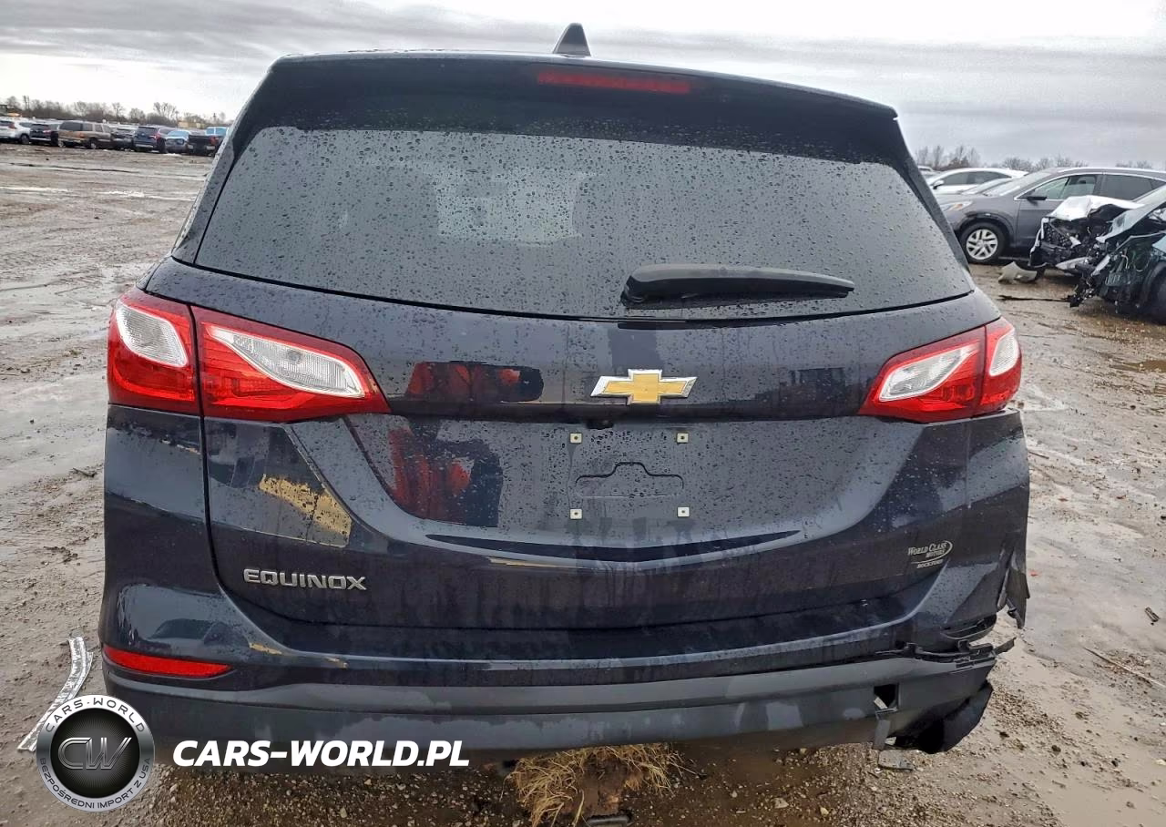 2020 Chevrolet Equinox Ls VIN:3GNAXHEV7LS530974 - 6