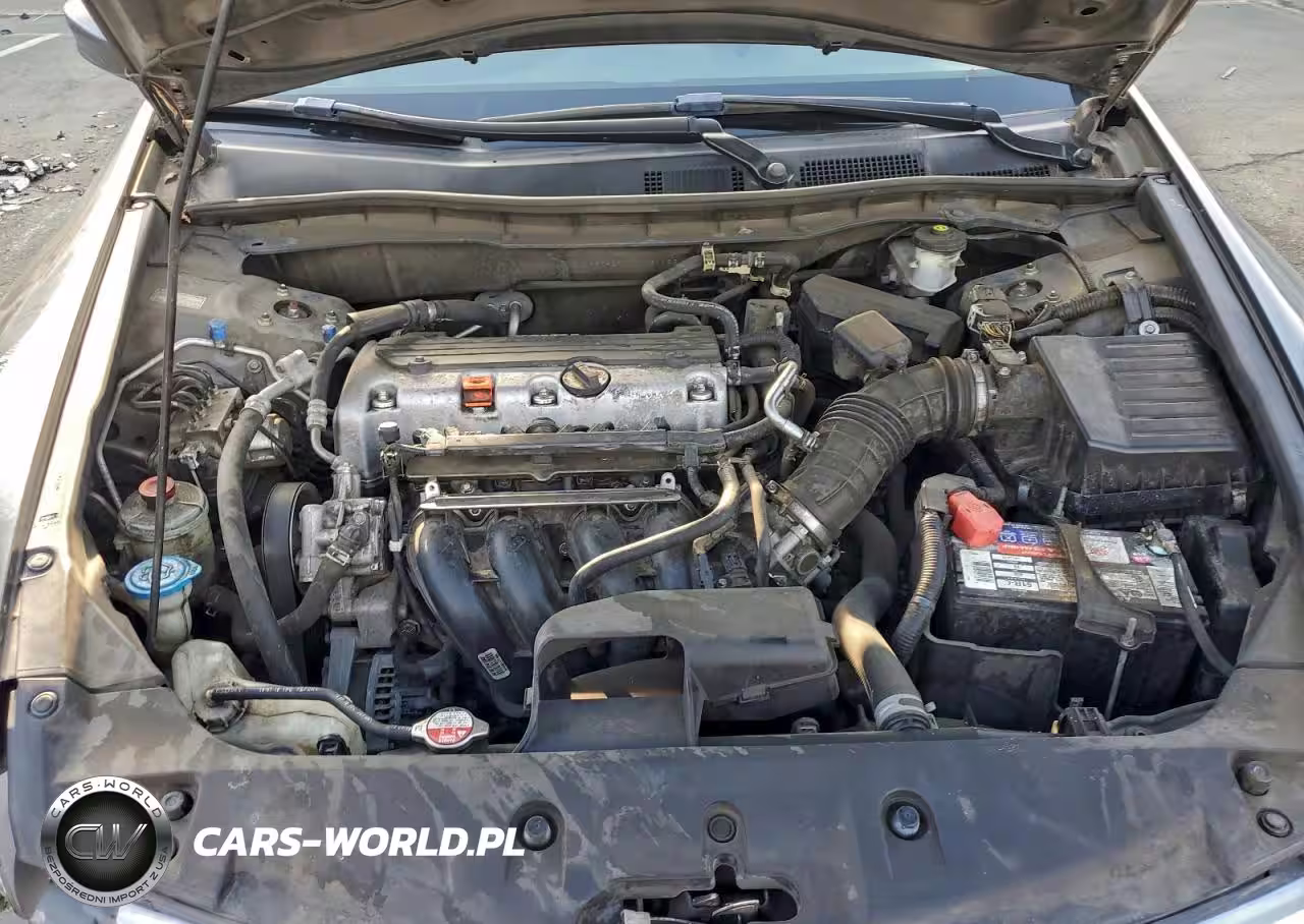 2011 Honda Accord Lxp VIN:1HGCP2F44BA061123 - 11