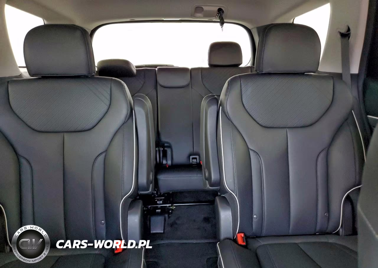 2025 Hyundai Palisade Sel VIN:KM8R24GEXSU953753 - 10