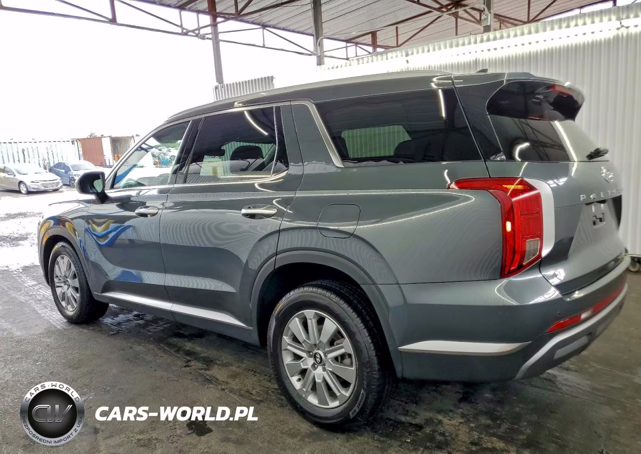 2025 Hyundai Palisade Sel VIN:KM8R24GEXSU953753 - 2
