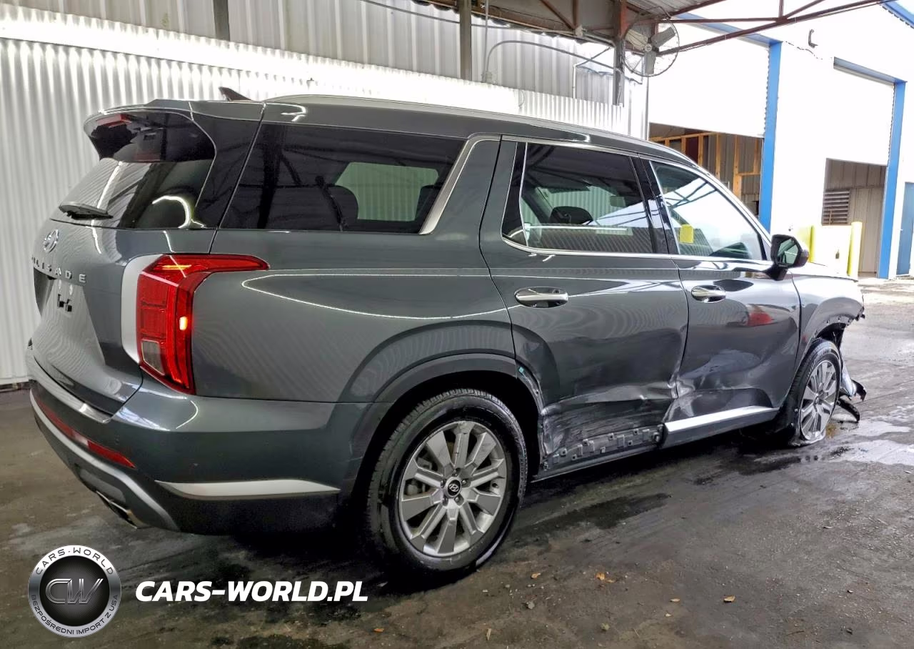 2025 Hyundai Palisade Sel VIN:KM8R24GEXSU953753 - 3