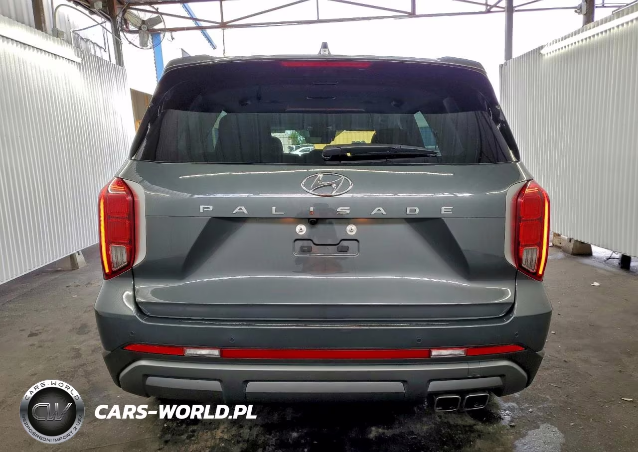 2025 Hyundai Palisade Sel VIN:KM8R24GEXSU953753 - 6