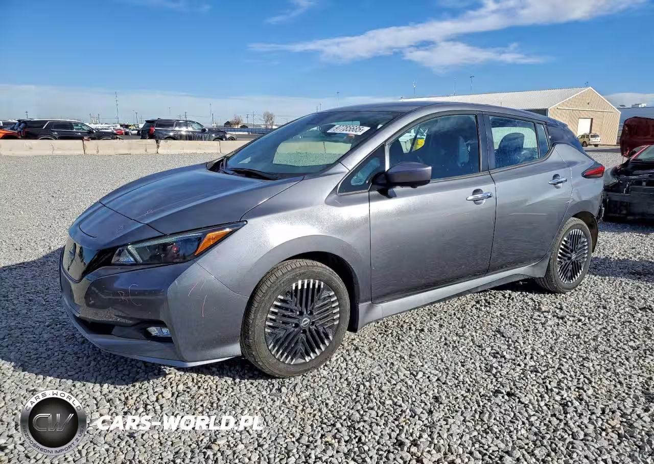 2025 Nissan Leaf Sv Plus