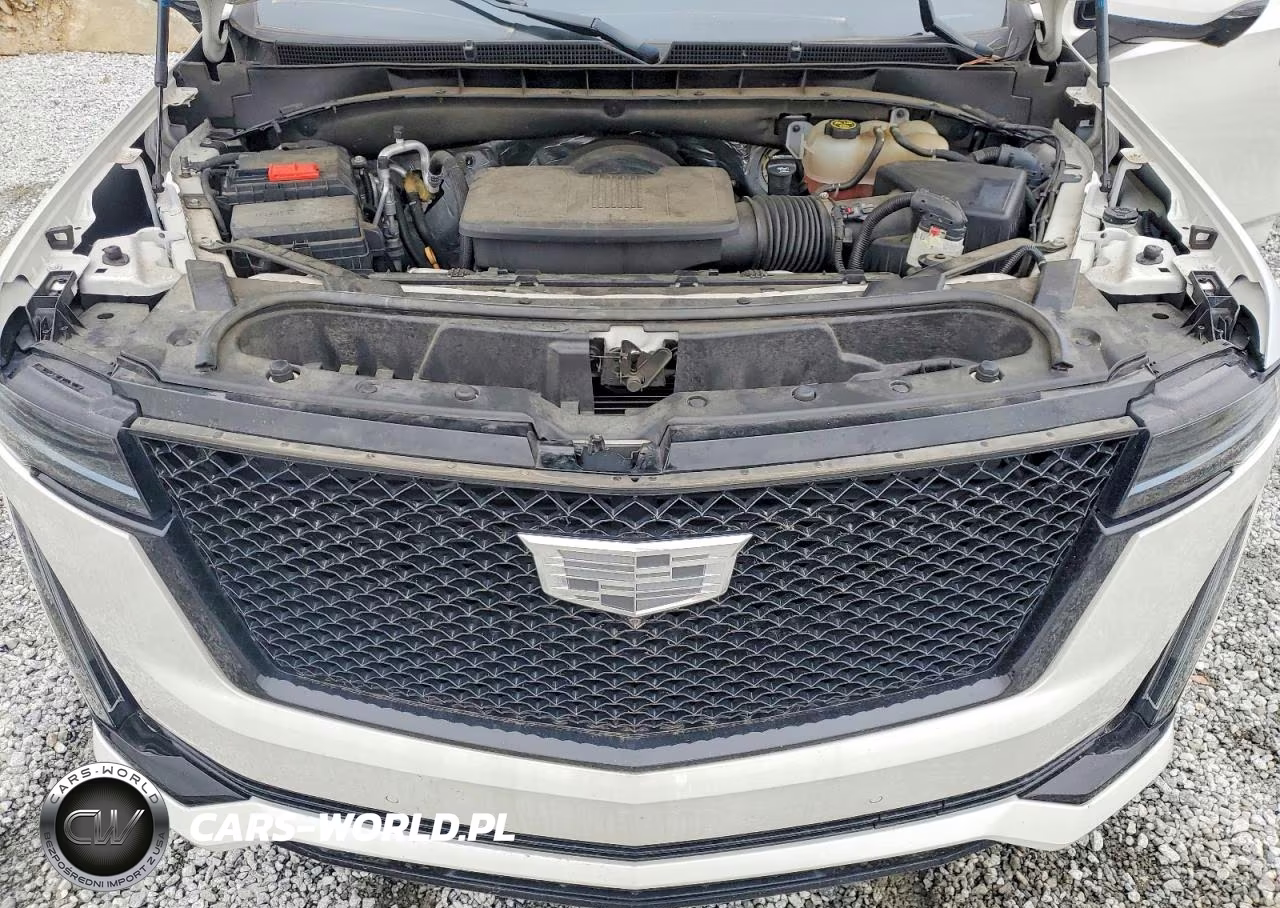 2021 Cadillac Escalade Sport VIN:1GYS4EKL9MR292034 - 12