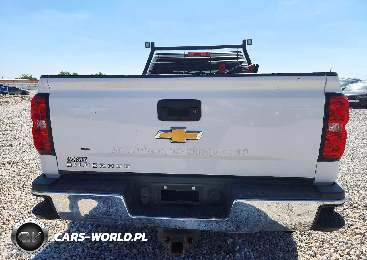 2019 Chevrolet Silverado K2500 Heavy Duty VIN:1GC1KREG9KF172228 - 6