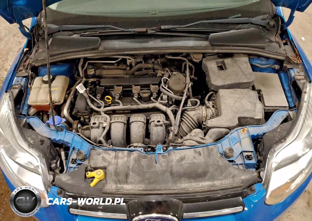 2012 Ford Focus Sel VIN:1FAHP3M29CL275922 - 11