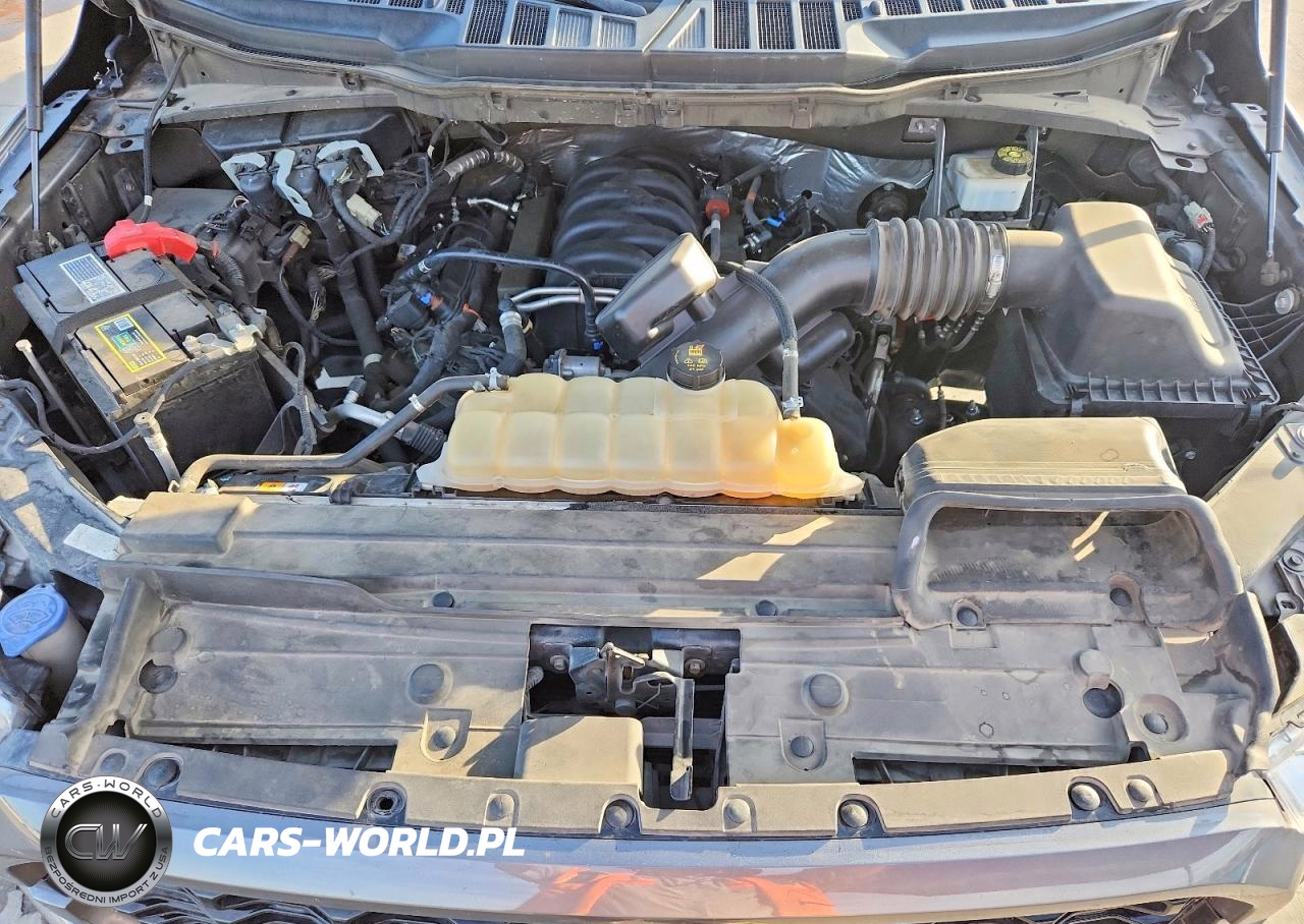 2021 Ford F150 Supercrew VIN:1FTEW1C54MKE63917 - 11