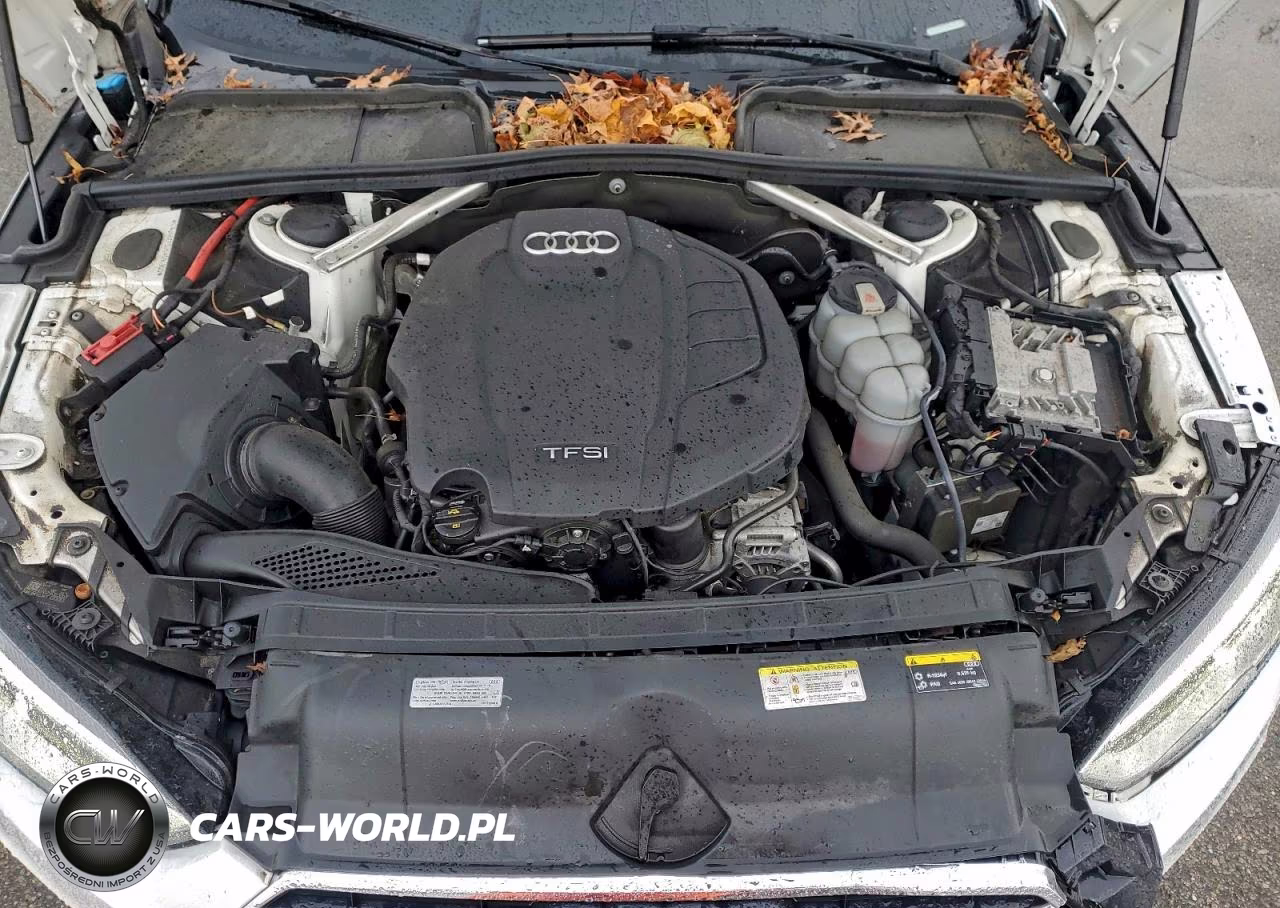 2019 Audi A5 Premium VIN:WAUANCF53KA094900 - 11