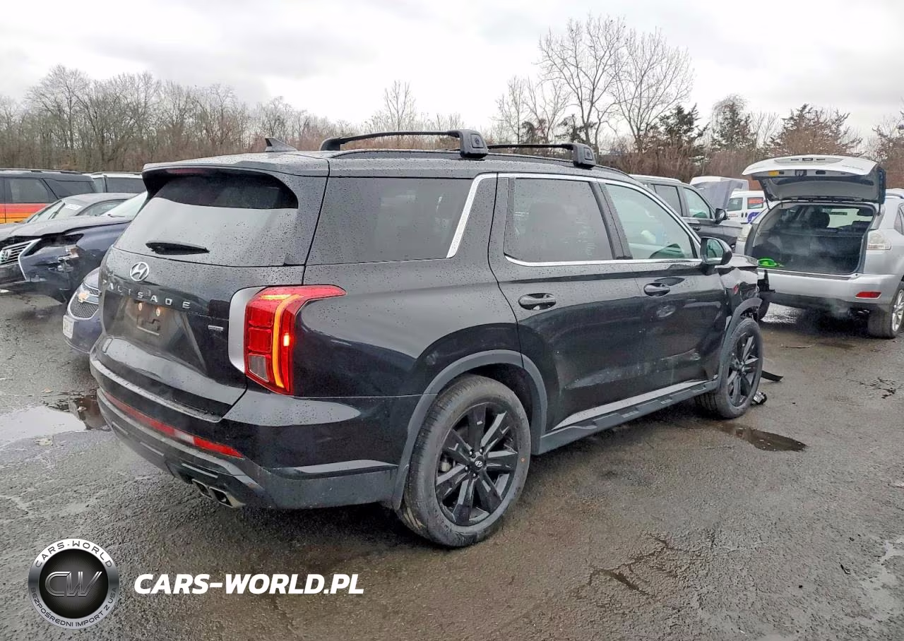 2024 Hyundai Palisade Xrt VIN:KM8R3DGE9RU741613 - 3